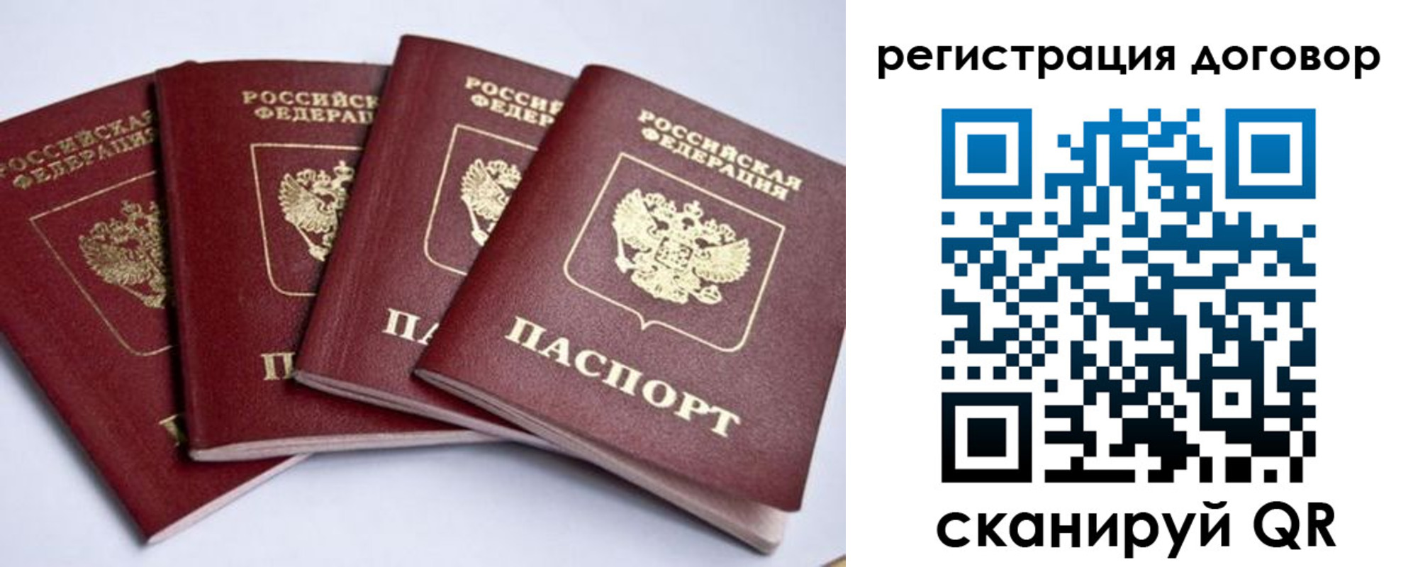 прописка поиск в Тольятти